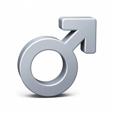 Silver Male Symbol Icon