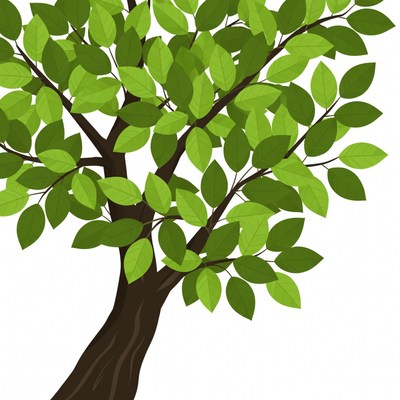 Green Tree Illustration Isolated Background