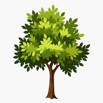 Green Tree Illustration