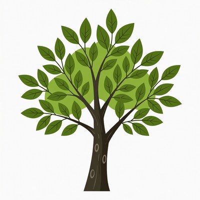 Green Tree Illustration