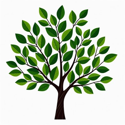 Green Tree Illustration