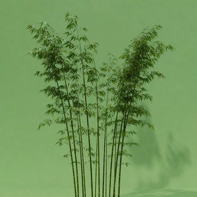 Bamboo stalks on green background
