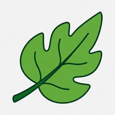 Green Maple Leaf Clipart