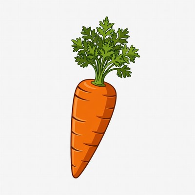 Fresh carrot illustration