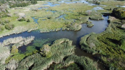 Aerial View of Marshland Wetlands