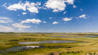 Vast green prairie with ponds and blue sky