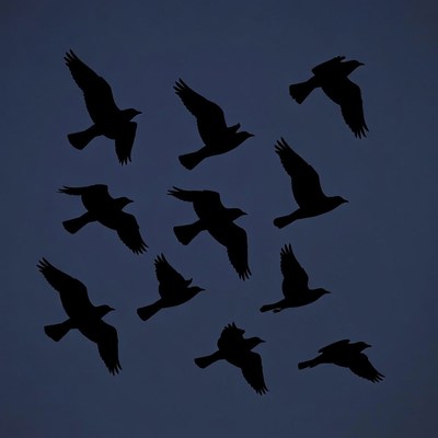 Flock of black silhouette birds flying