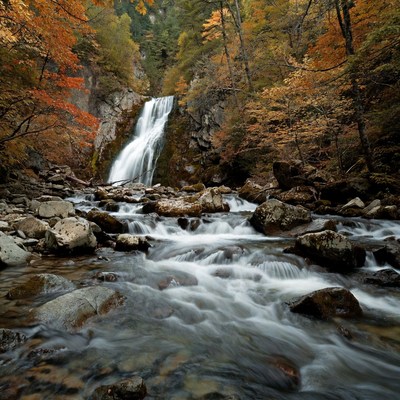 Autumn Waterfall in Forest