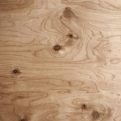 Birch Wood Grain Texture