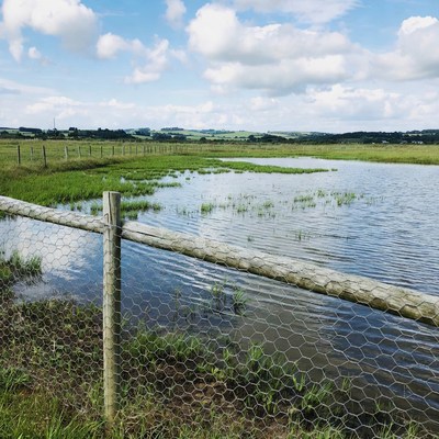 Wooden Fence by Pond in Grassy Field