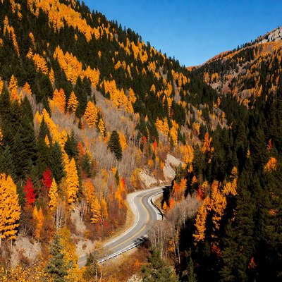 Winding road through autumn mountains