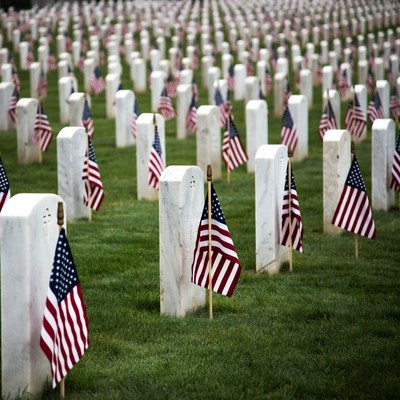 American Flags on White Gravestones