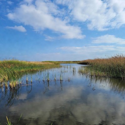 Reed-lined Marsh Channel with Blue Sky
