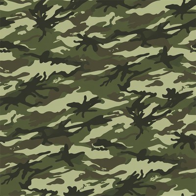 Camouflage Pattern Background