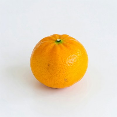 Fresh orange on white background