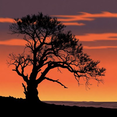 Silhouette Tree at Sunset
