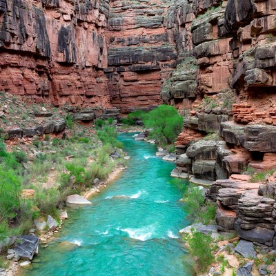 Turquoise River in Red Rock Canyon