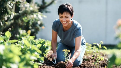Woman planting seedling in garden