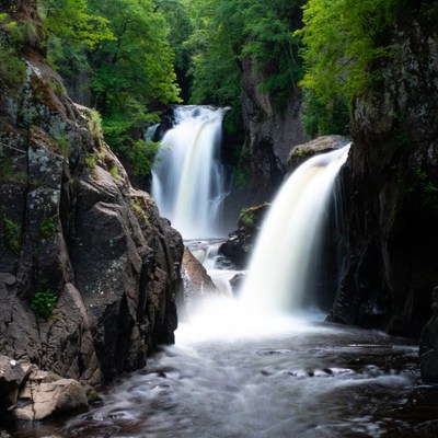 Waterfall cascading in lush green forest