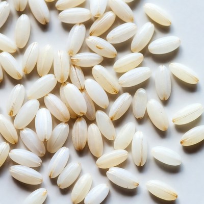 Uncooked White Rice Grains