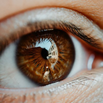 Close-up brown eye reflection