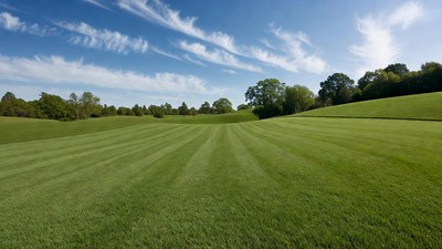 Vast Green Rolling Hills Landscape