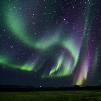 Vibrant Northern Lights over Grassland