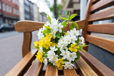White and Yellow Flowers on Park Bench