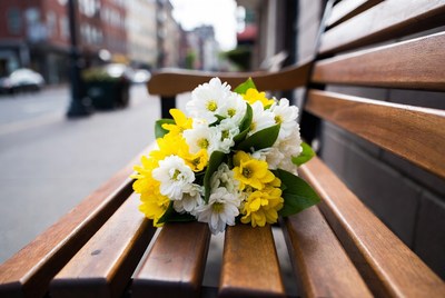 Daffodil Bouquet on Wooden Bench