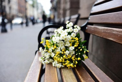White Daisies Bouquet on Park Bench