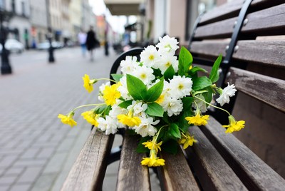 White Daisies Bouquet on Park Bench