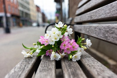 Pink and White Flowers on Park Bench