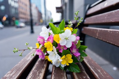 Colorful Flower Bouquet on Wooden Bench