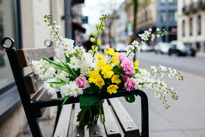 Colorful flowers bouquet on park bench