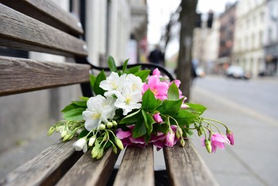 White and Pink Flowers on Wooden Bench