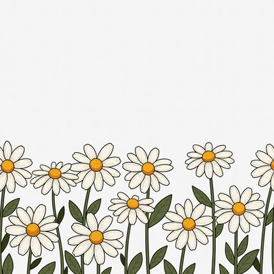Daisies on white background