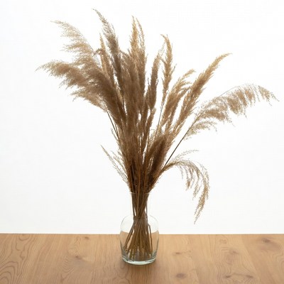 Pampas Grass in Glass Vase