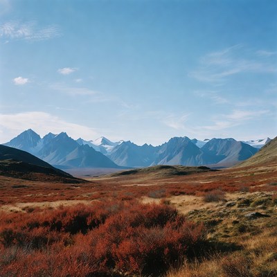 Snowy Mountains Over Red Autumn Valley