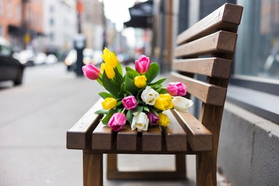 Colorful Tulips on Urban Bench