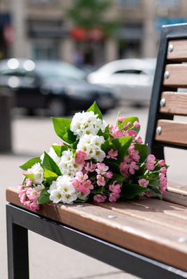 White and Pink Flowers on Park Bench