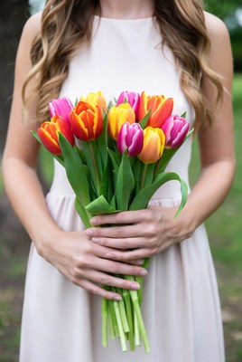 Woman holding colorful tulips outdoors