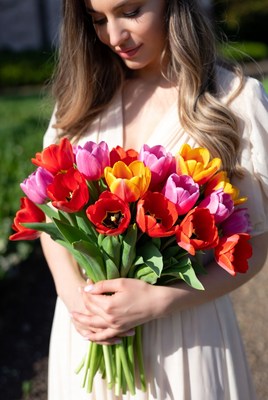 Woman holding colorful tulips
