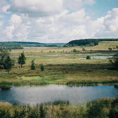 Scenic wetlands with ponds and forests