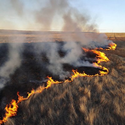 Grassland wildfire burning at sunset