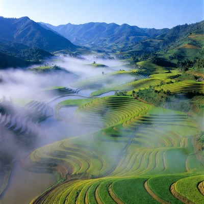 Misty Rice Terraces in Mountains