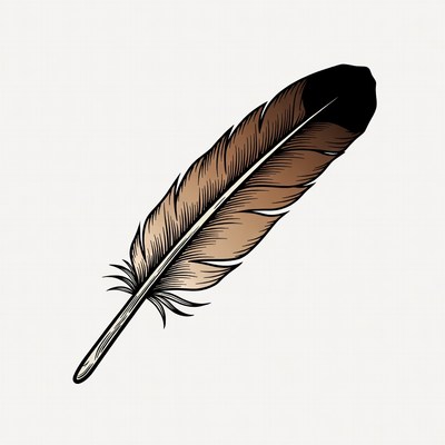Brown feather illustration
