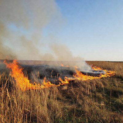 Grass Field Burning with Flames