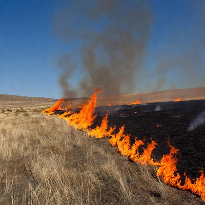 Grassland wildfire burning dry field