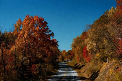 Winding road through autumn forest