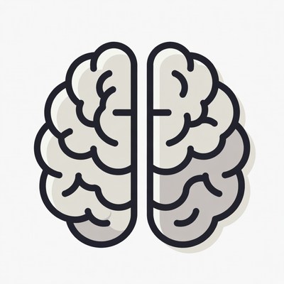 Human Brain Illustration